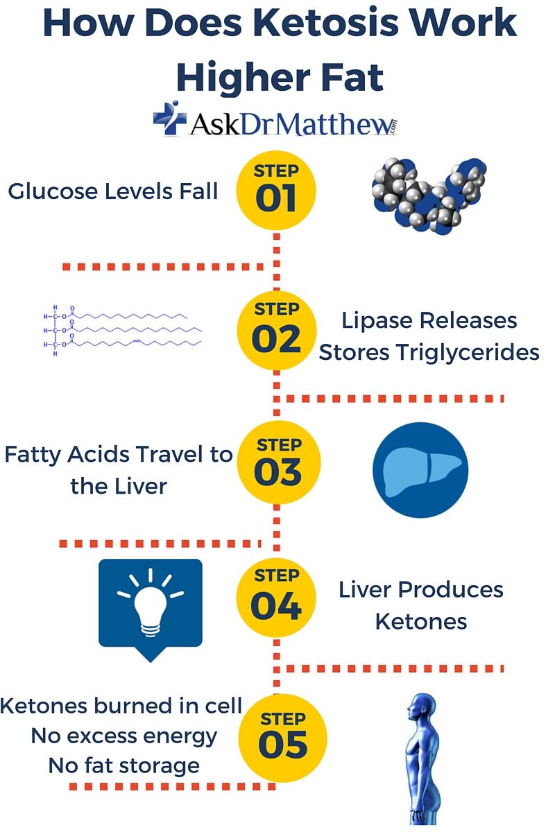 ketosis-vs-keto-adapted-fat-adapted-living-life-keto